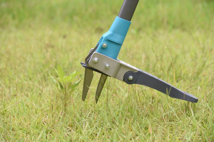 garden weeder head