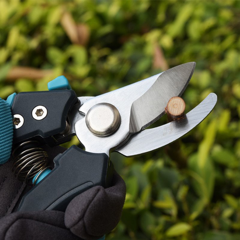 small pruner shears