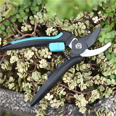 Cyrus hand bypass pruners