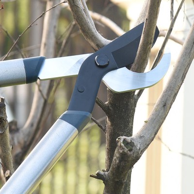 Heavy-duty lopping pruning shears Heavy-duty lopping pruning shears