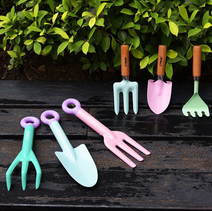 Hand Rake For Gardening
