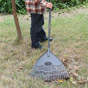 Hvernig sjáum við um Vinca á vetrartímabilinu?