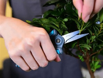 Hvers vegna settum við nýju og stærri skærin á markað