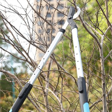 Snyrting og klipping: Hlúa að fjölskyldugarðinum mínum