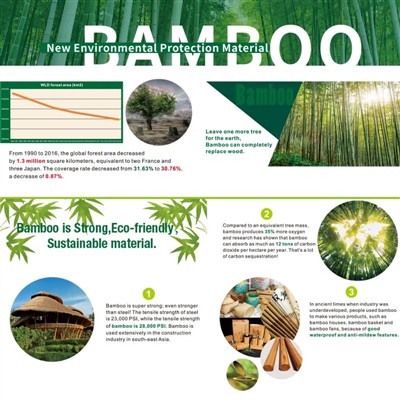 Ábendingar fyrir blómstrandi paradís