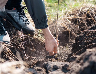 Fjörug skref til að grafa í gegnum rætur