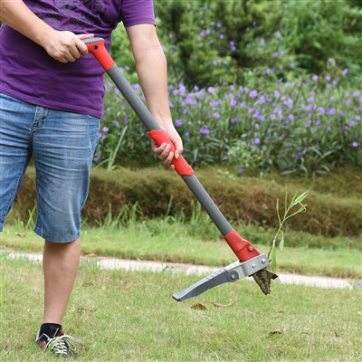 Stattu upp illgresi fyrir áreynslulaust illgresi