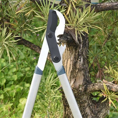 Bestu verkfærin til að klippa greinar eru framhjáhlauparar