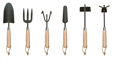 Gróðursetja tómata heima