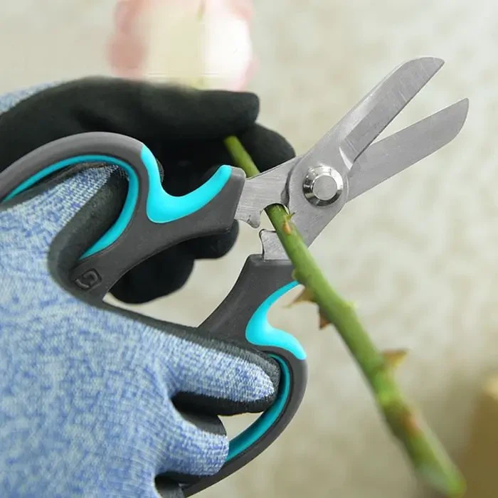 Snyrtiklippur og rósir verða fullkomin samsvörun