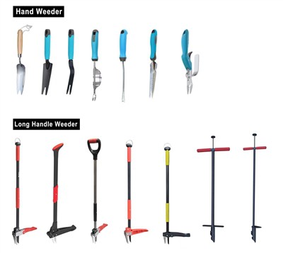 Að rækta grænt: Faðma sjálfbærni í garðinum þínum