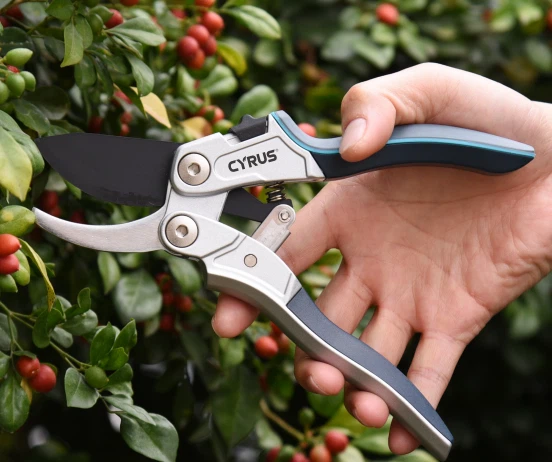 pruner pruner